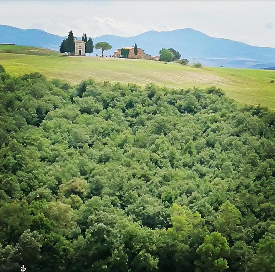 Affittacamere Alba Fiorita Castiglione dʼOrcia Eksteriør bilde