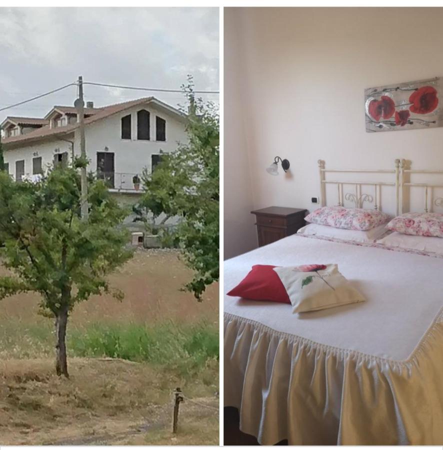 Affittacamere Alba Fiorita Castiglione dʼOrcia Eksteriør bilde