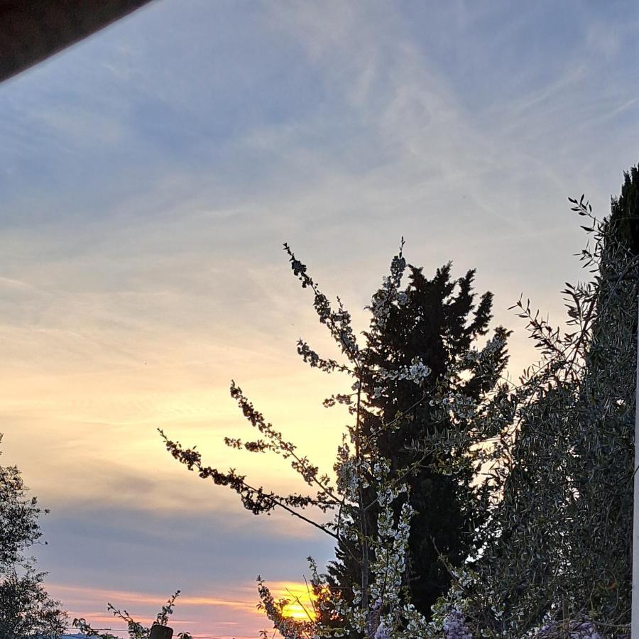 Affittacamere Alba Fiorita Castiglione dʼOrcia Eksteriør bilde