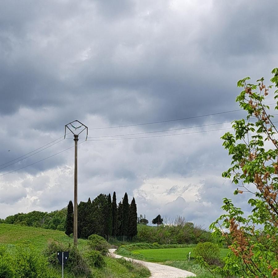 Affittacamere Alba Fiorita Castiglione dʼOrcia Eksteriør bilde