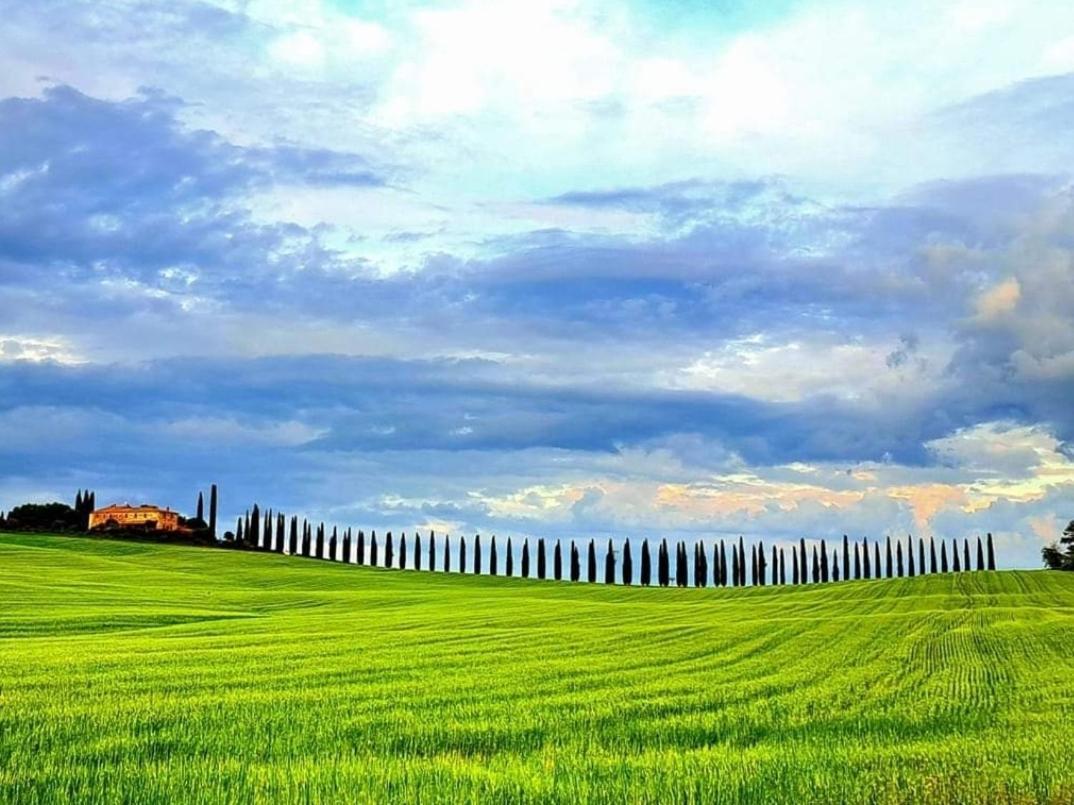 Affittacamere Alba Fiorita Castiglione dʼOrcia Eksteriør bilde