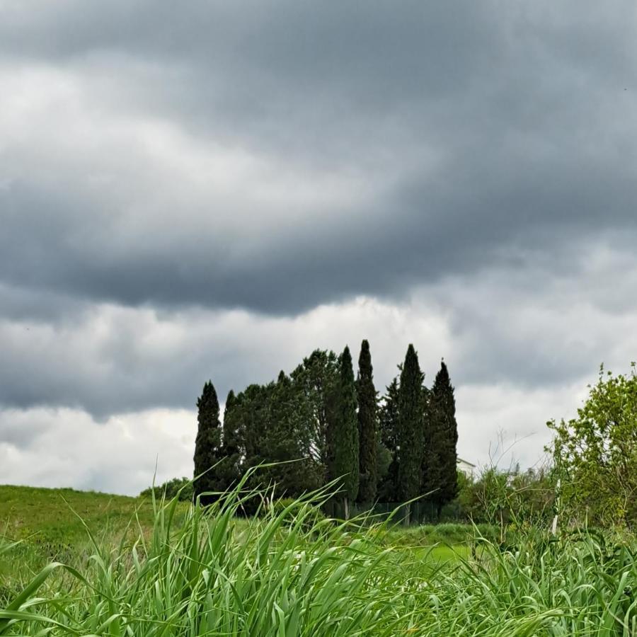 Affittacamere Alba Fiorita Castiglione dʼOrcia Eksteriør bilde