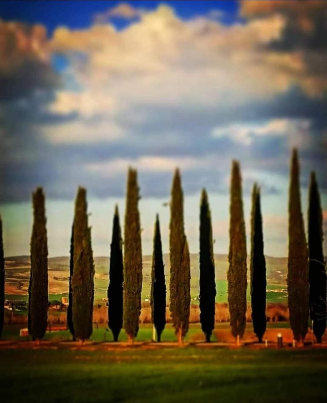 Affittacamere Alba Fiorita Castiglione dʼOrcia Eksteriør bilde