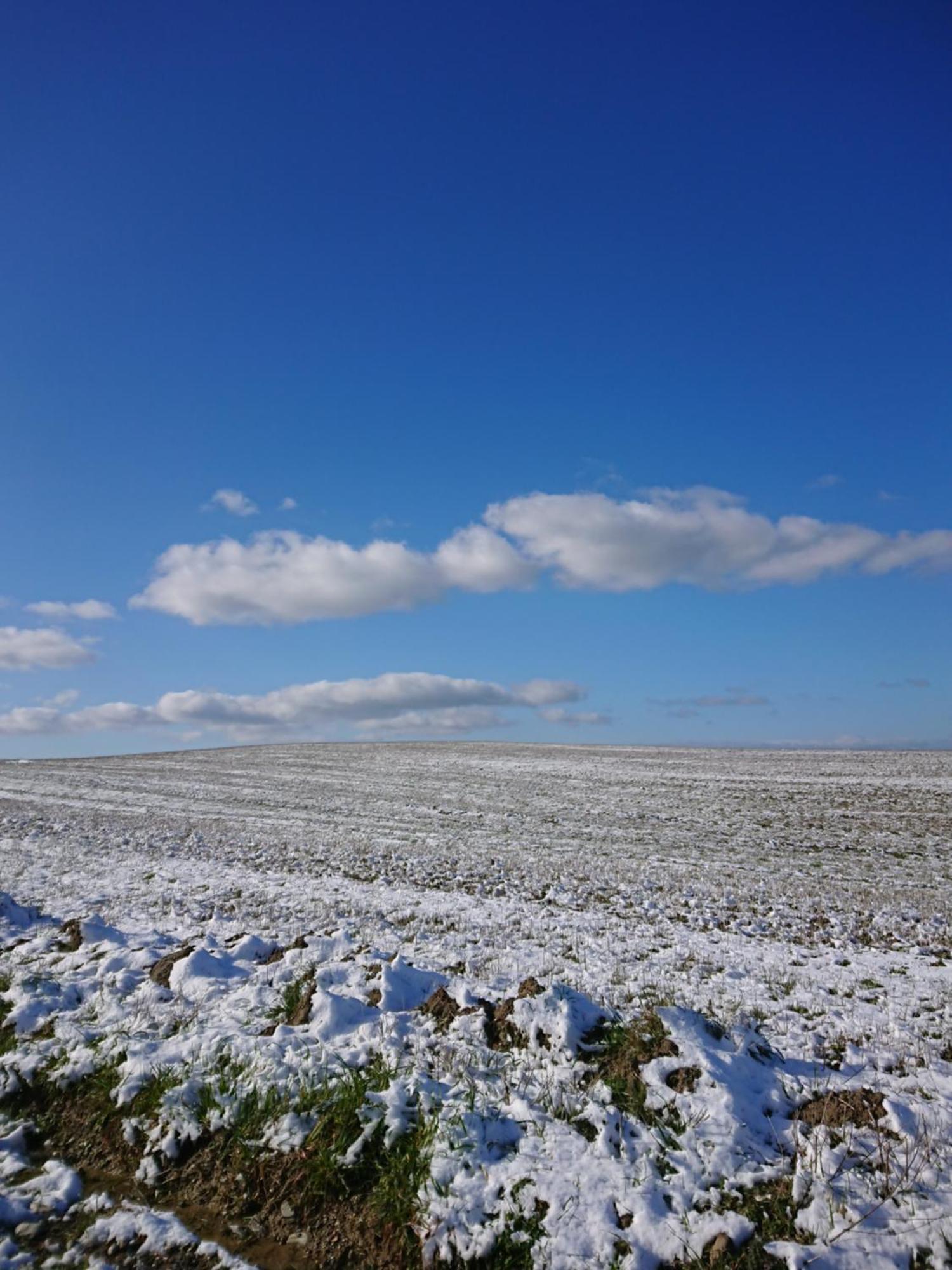 Affittacamere Alba Fiorita Castiglione dʼOrcia Eksteriør bilde